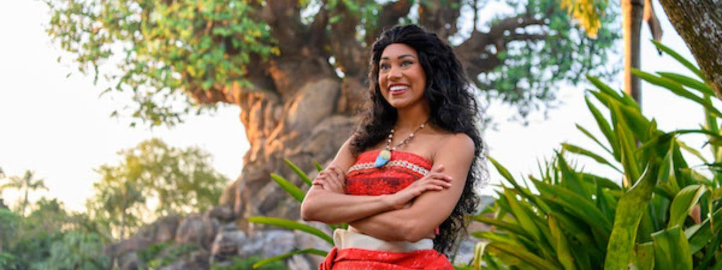 Nuevas experiencias en Walt Disney World