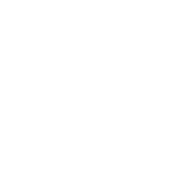 Meli Agente Disney